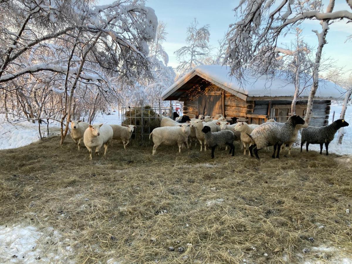 Kuttainen Lodge Karesuando Екстер'єр фото
